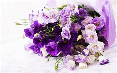 violetti ruusut, violetti h&#228;&#228;t kukkakimppu, kauniita kukkia, ruusut, kimppuja