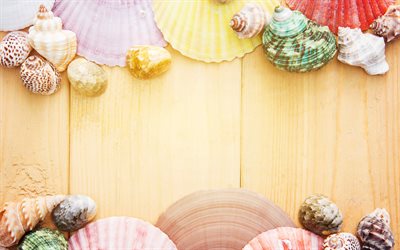 Frame made of seashells, light wooden texture, wooden background, colorful seashells, summer frame, summer travel concepts
