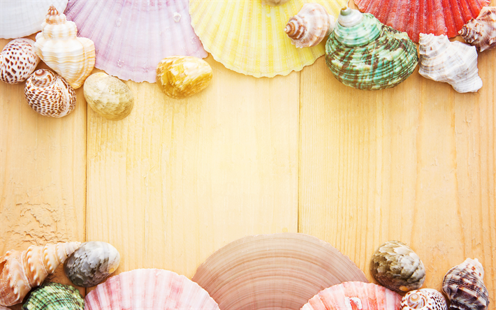 ダウンロード画像 フレームの貝殻 光が木製の質感 木の背景 カラフルな貝殻 夏のフレーム 夏の旅行の概念 フリー のピクチャを無料デスクトップの壁紙