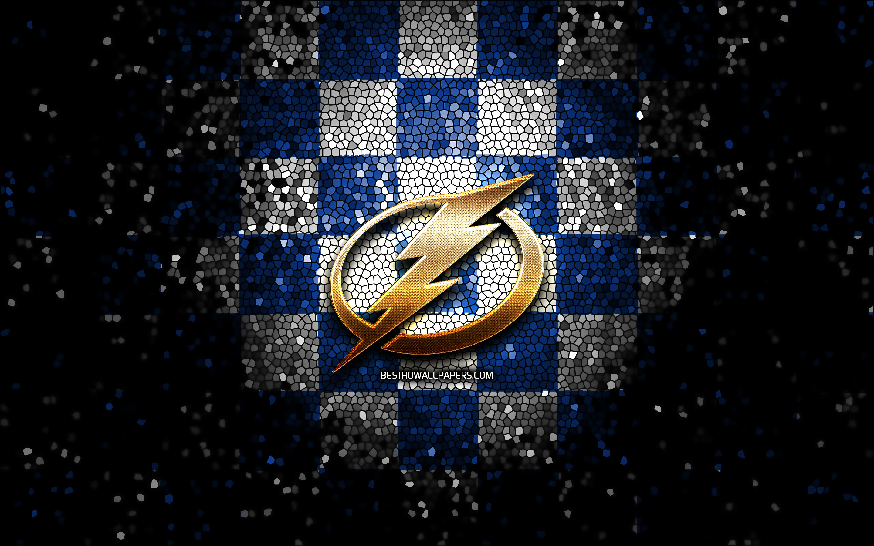Тампа НХЛ лого