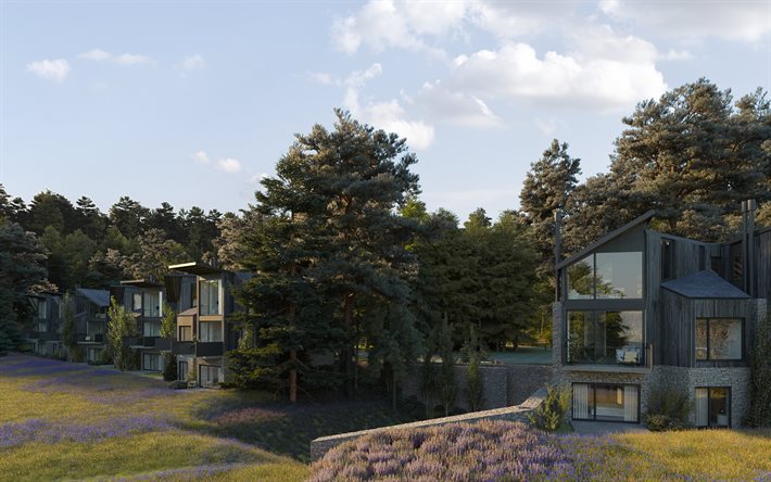 cottage project, country house made of wood, wooden house, houses in the forest, modern houses