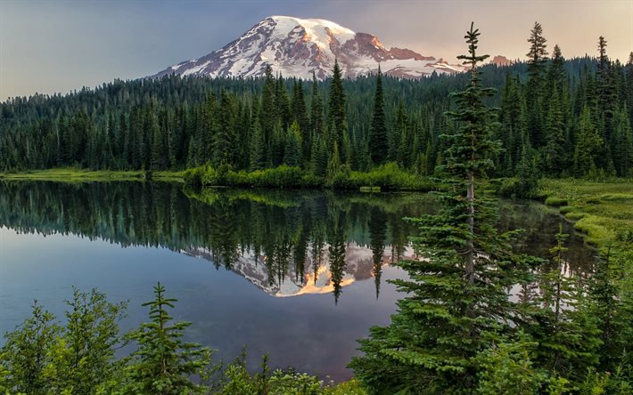 Download Wallpapers Mountain Lake Sunset Evening Forest Mountain