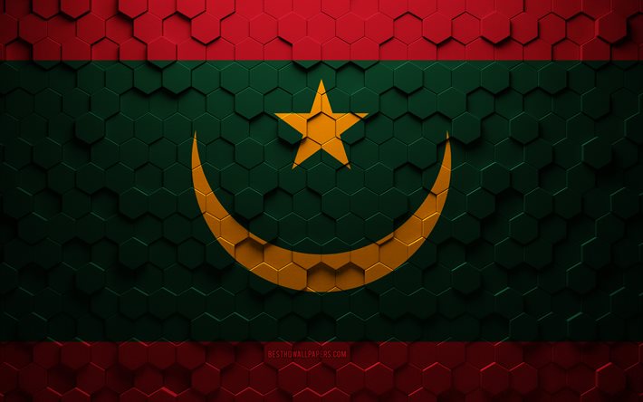 Mauretanias flagga, bikakekonst, Mauretaniens sexh&#246;rniga flagga, Mauretanien, 3d sexh&#246;rningskonst