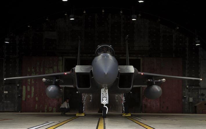 McDonnell Douglas F-15E Strike Eagle, American fighter-bomber, United States Air Force, F-15, American combat aircraft