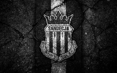 sandecja neue fc, 4k, logo, premier league, soccer, football, black stone, polen, sandecja neue, fu&#223;ballverein, asphalt texture, fc sandecja neu
