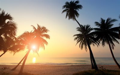 tropical island, sunset, palms, ocean, seascape, summer travel, waves, beach, sand
