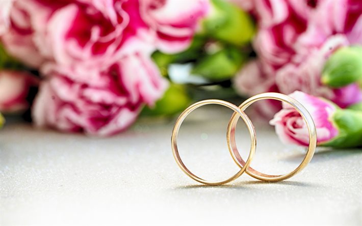 anillos de boda, fondo con rosas de color rosa, de la boda de conceptos, un par de anillos, anillos de oro, bodas de fondo