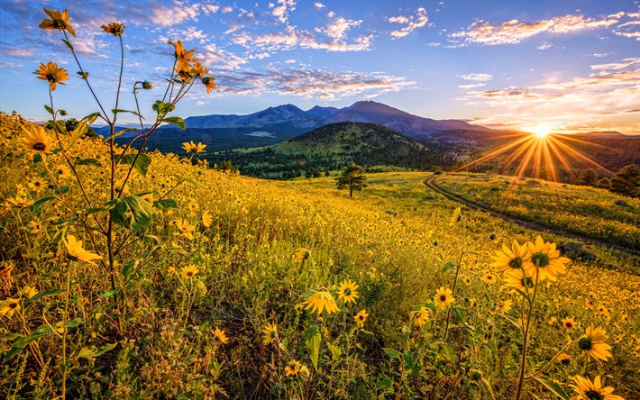 Flagstaff, 4k, coucher de soleil, des collines, &#233;t&#233;, beaut&#233; de la nature, Arizona, USA, Am&#233;rique du