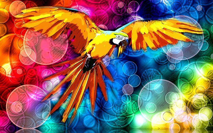 r&#233;sum&#233; de l&#39;ara, de cr&#233;ativit&#233;, de perroquets, de la faune, color&#233; parrot, abstrait, perroquet, Ara, ara oiseau abstrait