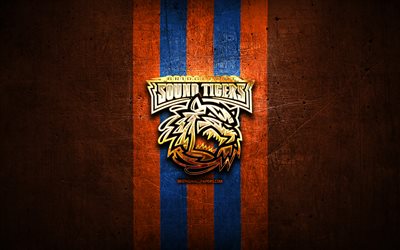 Bridgeport Sound Tigers, golden logotyp, AHL, orange metall bakgrund, amerikansk ishockey, American Hockey League, Bridgeport Sound Tigers logotyp, hockey, USA