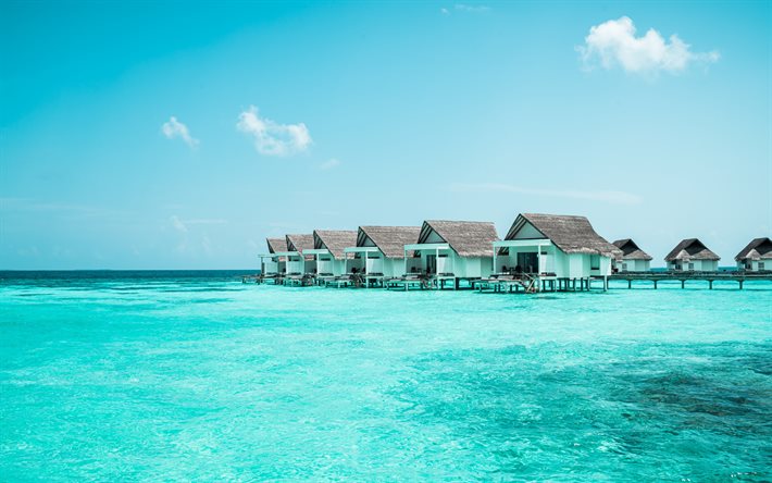 tropical islands, ocean, summer, houses over water, Maldives, seascape, summer landscape