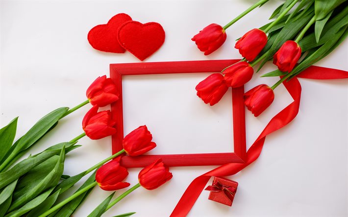 red frame with tulips, spring frame, red tulips, spring flowers, romantic red frame, romantic greeting card template, tulips
