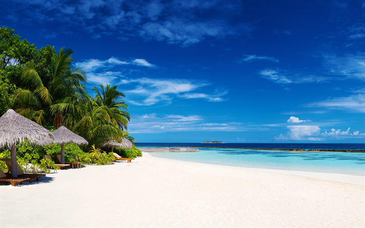 Maldivler, 4k, tropik ada, plaj, okyanus, yaz, cennet