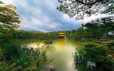 Kinkaku-ji, temppeli, Kultainen Paviljonki, japanilainen maamerkkej&#228;, Kioton, Japani, Aasiassa
