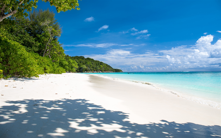 tropik ada, yaz, plaj, palmiye ağa&#231;ları, orman, Seyahat kavramları, blue lagoon, okyanus