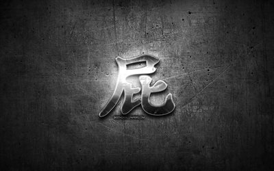 Veloce Kanji geroglifico, argento simboli, giapponese geroglifici, i Kanji Giapponese Simbolo per Veloce, metallo geroglifici, Veloce carattere Giapponese, in metallo nero, sfondo, Veloce Giapponese Simbolo