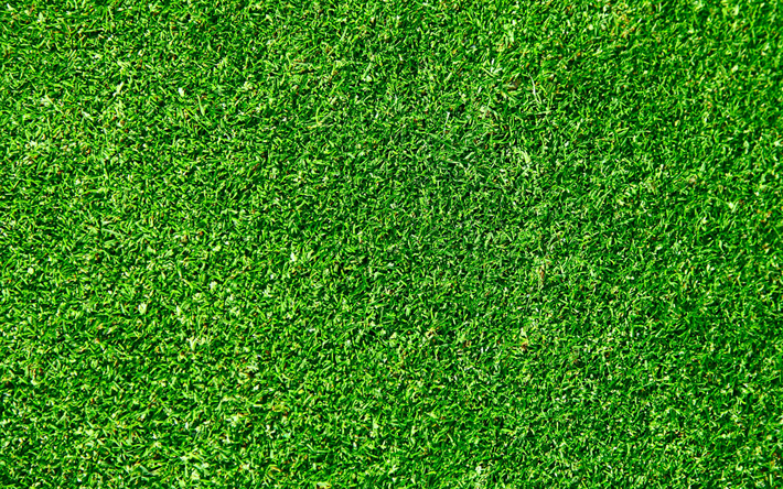 la hierba verde textura, 4k, verde, fondos, hierba texturas, verde hierba, macro, hierba de la parte superior de pasto, fondos de