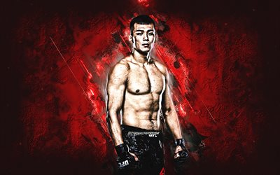 Da Un Jung, MMA, Fighter, portrait, red stone background, creative art