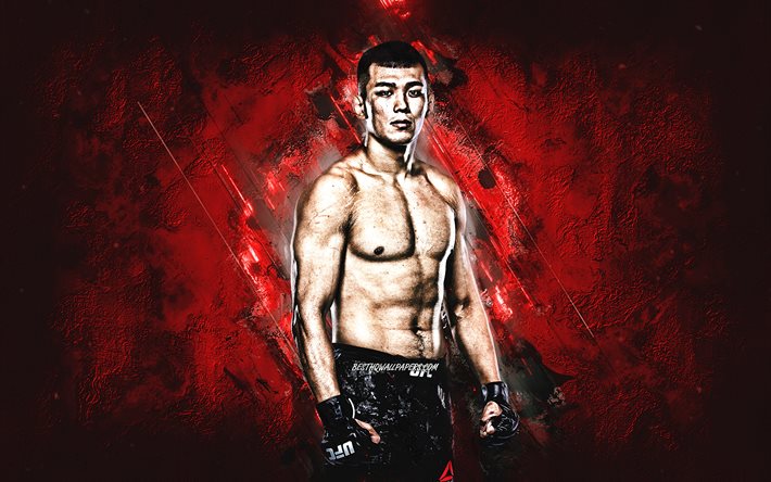 Download wallpapers Da Un Jung, MMA, Fighter, portrait, red stone  background, creative art for desktop free. Pictures for desktop free