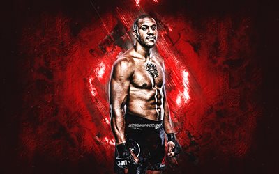 Ciryl Gane, UFC, MMA, luchador americano, retrato, rojo de la piedra de fondo, Ultimate Fighting Championship