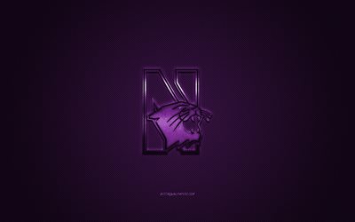 Northwestern Wildcats logo, American football club, NCAA, purple logo, purple carbon fiber background, American football, Evanston, Illinois, USA, Northwestern Wildcats, Northwestern University