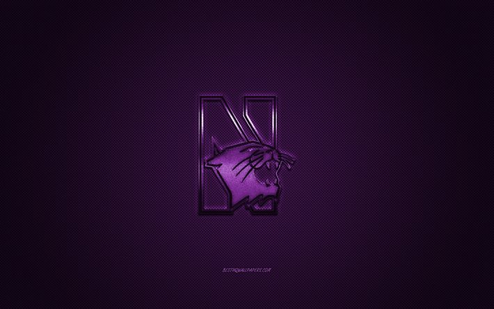 Northwestern Wildcats logo, club de football Am&#233;ricain, la NCAA, le logo violet, pourpre fibre de carbone, fond, football Am&#233;ricain, Evanston, Illinois, etats-unis, Northwestern Wildcats de l&#39;Universit&#233; Northwestern