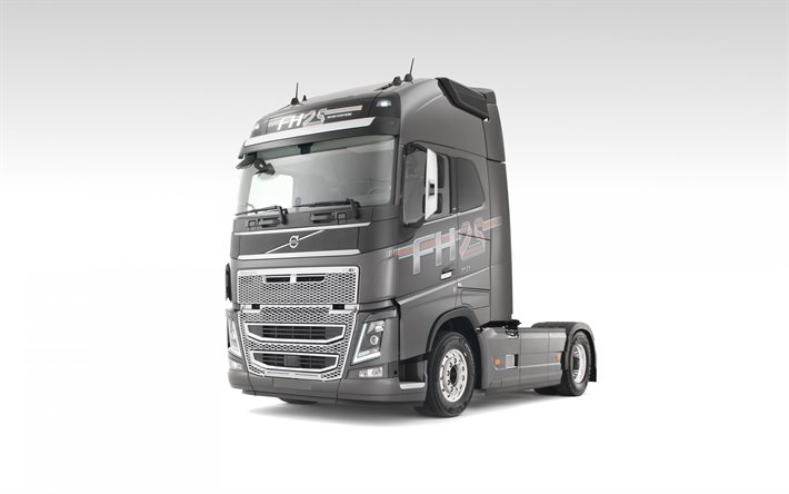 Volvo FH16, 25th anniversary, 25 Year Special Edition Truck, new tractor, silver FH16, Volvo