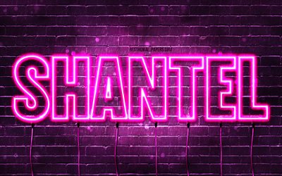 grattis p&#229; f&#246;delsedagen shantel, 4k, rosa neonljus, shantel namn, kreativ, shantel grattis p&#229; f&#246;delsedagen, shantel birthday, popul&#228;ra franska kvinnonamn, bild med shantel namn, shantel