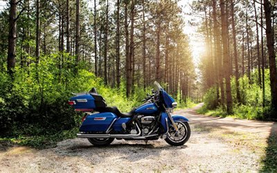 A Harley-Davidson Ultra Limitada, 2017 motos, floresta, touring, americana de motocicletas, A Harley-Davidson