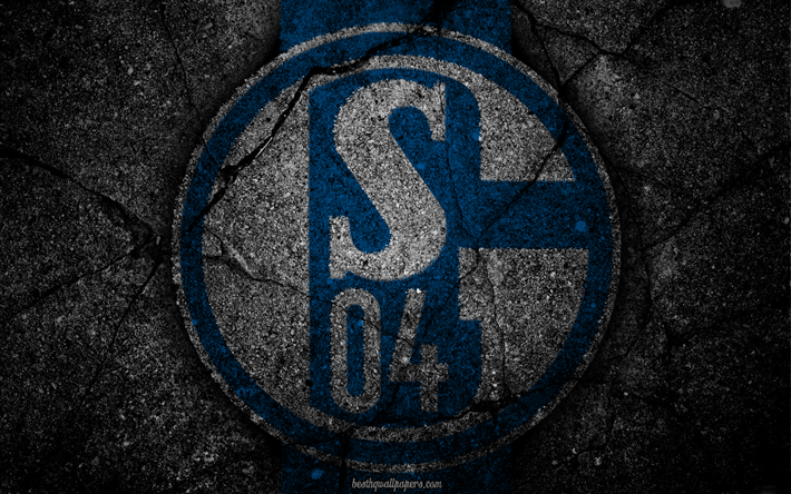 schalke 04, logo, kunst, bundesliga, fussball, fu&#223;ball-club, fc schalke, asphalt textur