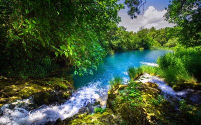 クロアチア, 夏, Plitvice湖国立公園, 森林, 湖, 美しい景観