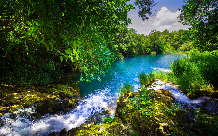 Kroatien, sommar, Plitvice Lakes National Park, skogen, sj&#246;n, vackert landskap