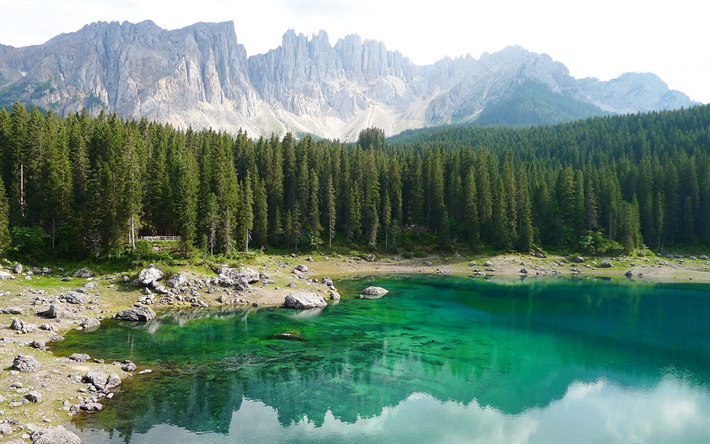 Karersee, Mountain lake, skogen, berg, Sydtyrolen, Dolomiterna, Italien