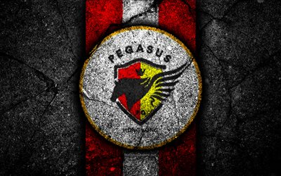 4k, FC Pegasus, emblema, Hong Kong Premier League, pedra preta, futebol, clube de futebol, &#193;sia, logo, Hong Kong, Pegasus, a textura do asfalto, Pegasus FC