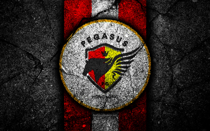 4k, FC Pegasus, emblem, Hong Kong Premier League, black stone, soccer, football club, Asia, logo, Hong Kong, Pegasus, asphalt texture, Pegasus FC