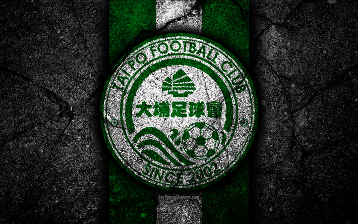 4k, FC Wofoo Tai Po, emblema, Hong Kong Premier League, pedra preta, futebol, clube de futebol, &#193;sia, logo, Hong Kong, Wofoo Tai Po, a textura do asfalto, Wofoo Tai Po FC
