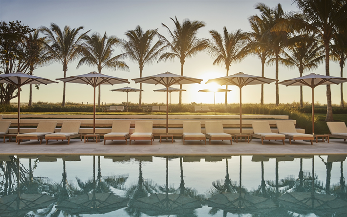 Swimming pool, morning, sunrise, resort, palm trees, Miami, USA