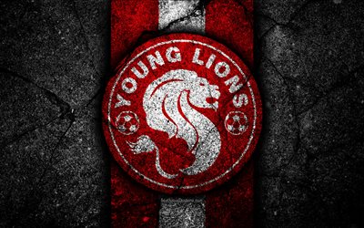 4k, Young Lions FC, amblem, Singapur, İngiltere Premier Ligi, siyah taş, futbol, Asya, Futbol Kul&#252;b&#252;, logo, Gen&#231; Aslanlar, asfalt doku, FC Gen&#231; Aslanlar