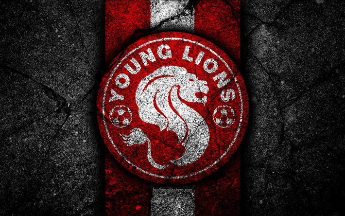 4k, 若いライオンズFC, エンブレム, シンガポールプレミアリーグ, 黒石, サッカー, アジア, サッカークラブ, シンガポール, ロゴ, 若いライオンズ, アスファルトの質感, FC若いライオンズ