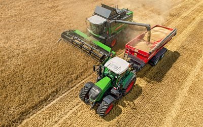 Fendt 828 Vario, Fendt 6275 L, 4k, wheat harvesting, 2020 combines, combine-harvester, harvesting concepts, agricultural machinery, Fendt