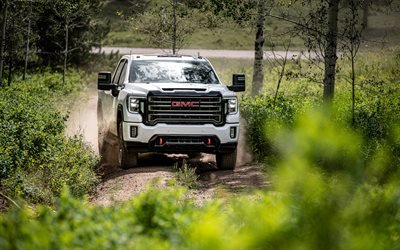 2020, GMC Sierra 1500 AT4, front view, exterior, white pickup truck, new white Sierra, american cars, GMC