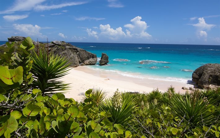 Bermuda, baia lussuosa, oceano, spiaggia, laguna blu, isole tropicali, viaggi estivi