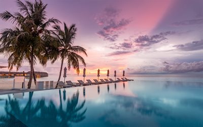 Maldives, evening, sunset, swimming pool, ocean, paradise, oceanfront pool, Maldives sunset