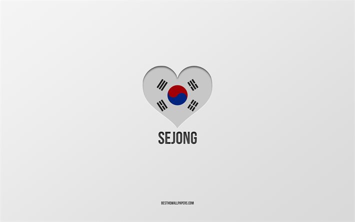 Amo Sejong, citt&#224; della Corea del Sud, Giorno di Sejong, sfondo grigio, Sejong, Corea del Sud, cuore della bandiera della Corea del Sud, citt&#224; preferite, Love Sejong