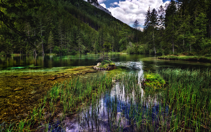 Austria, lake, mountains, forest, summer, HDR