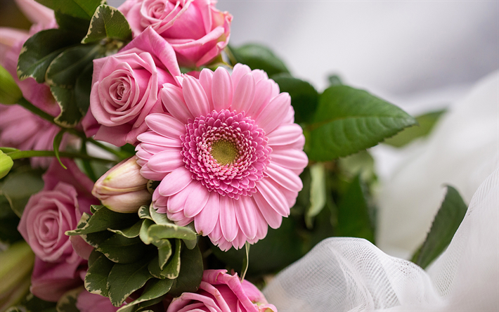 gerberas, roses, bouquet, pink flowers, close-up