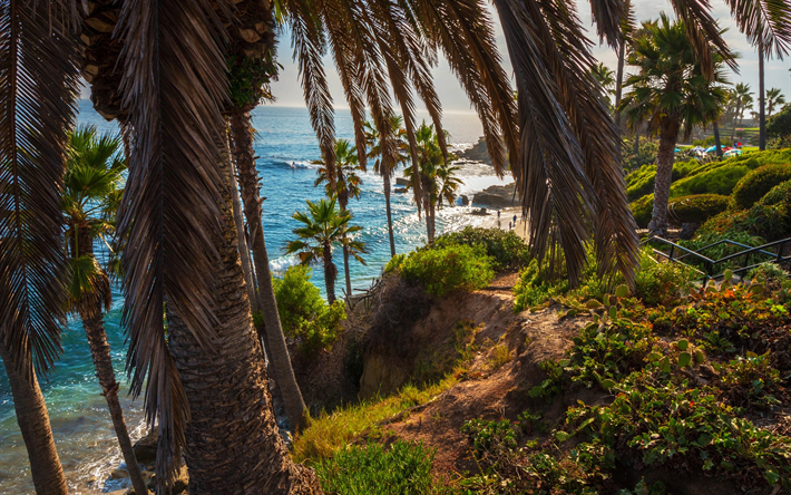 Laguna Beach, oceano, palmas, costa, Calif&#243;rnia, EUA, Am&#233;rica
