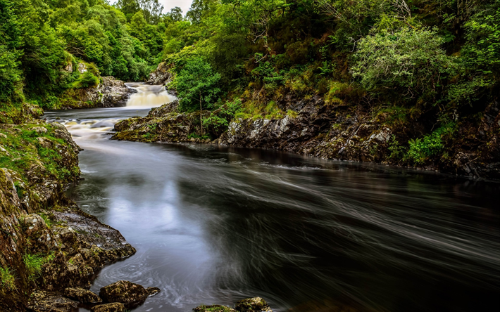 River Shin, skogen, gr&#246;na tr&#228;d, vattenfall, Skottland, STORBRITANNIEN