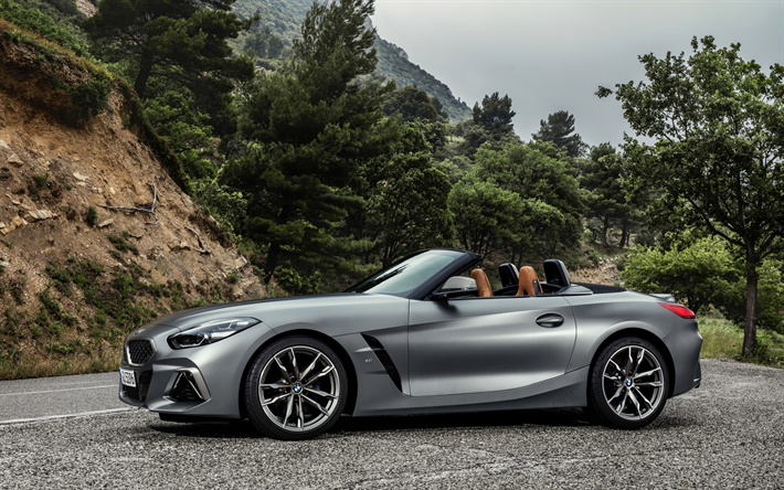 BMW Z4, 2019, M40i, new silver Z4, G29, convertible, sports coupe, side view, exterior, German cars, BMW