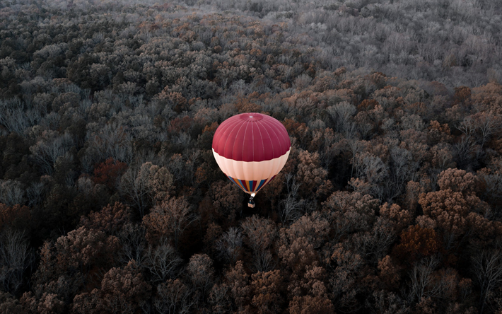 balloon, autumn forest, trees, morning, autumn, balloon over the forest, USA